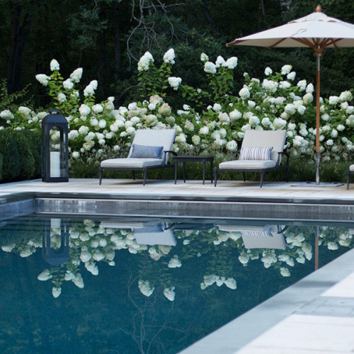 connecticut swimming pool professional photography